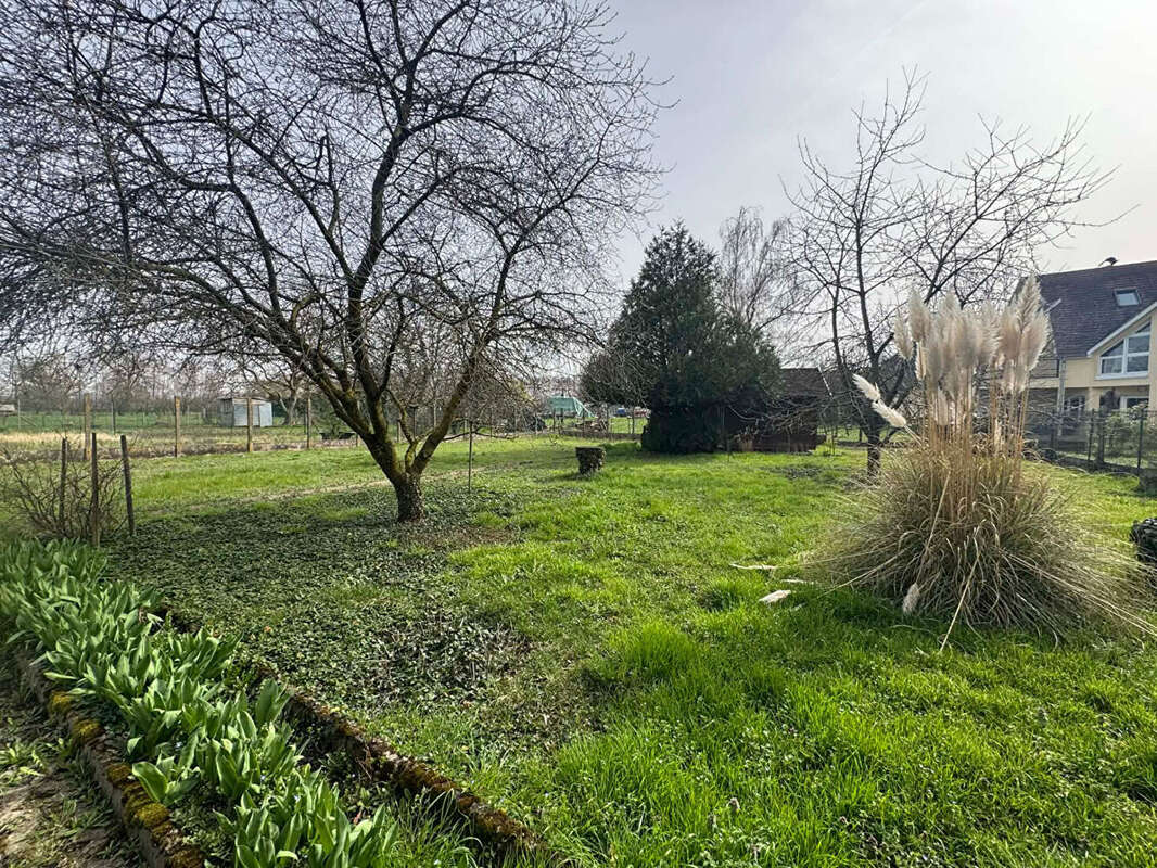 Terrain à GUNDOLSHEIM