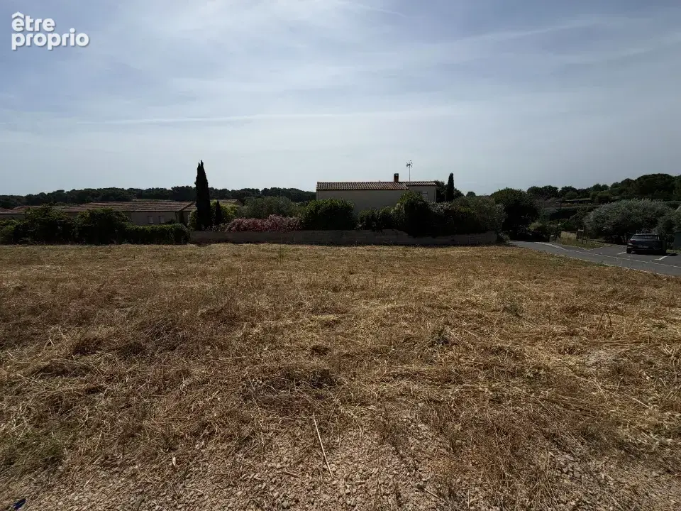 Terrain à MUS