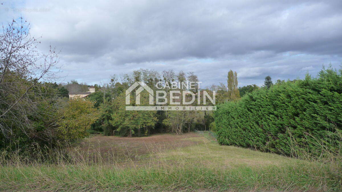 Terrain à BRANNE