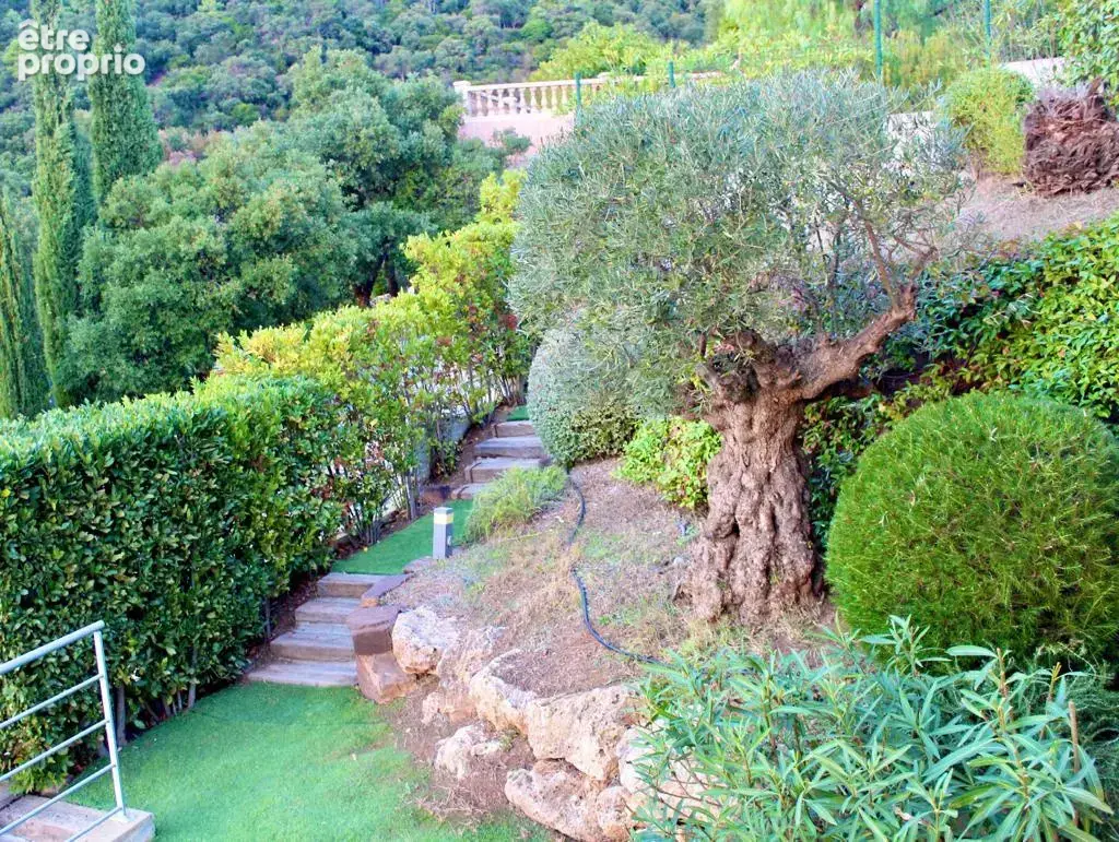 83530  agay -villa contemporaine f6 piscine jacuzzi vue esterel proches des plages - photo 24