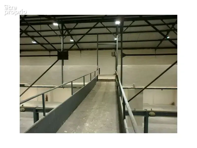 Commerce 1 000 m² à vendre à Champigny-Sur-Marne (94500) - photo 9