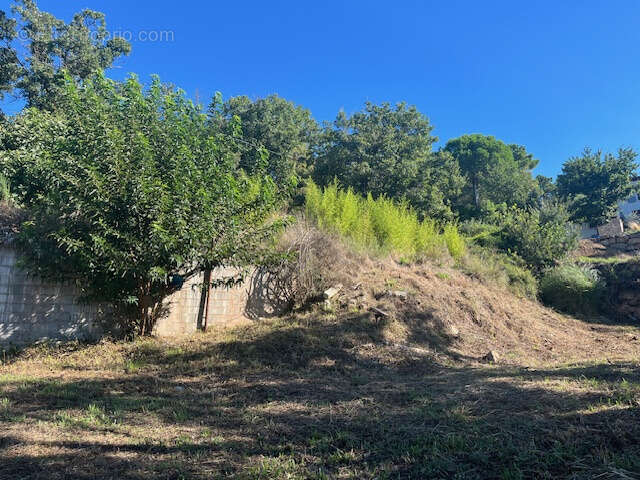 Terrain à VIDAUBAN