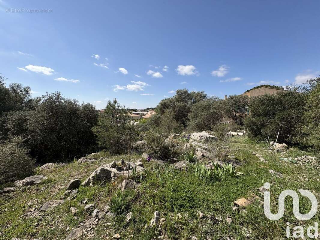 Photo 2 - Terrain à LA PALME