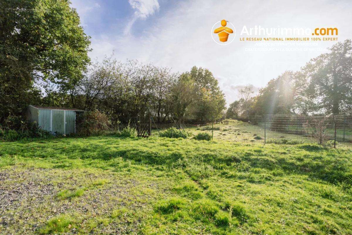 Grand terrain constructible libre de constructeur - photo 2