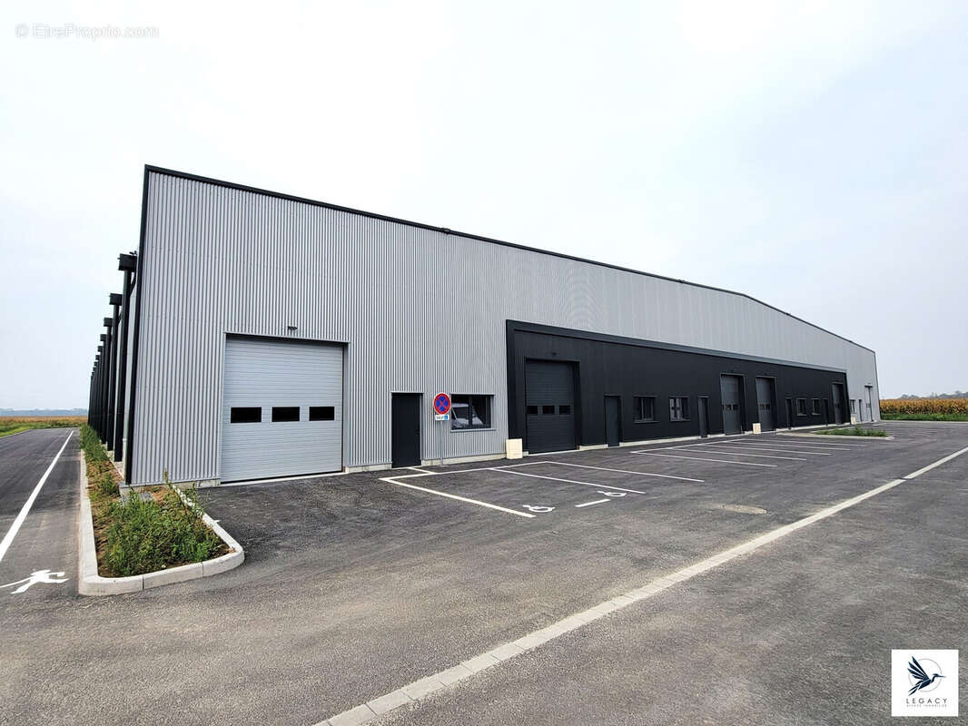 Commerce 320 m² à Fegersheim  - photo 6