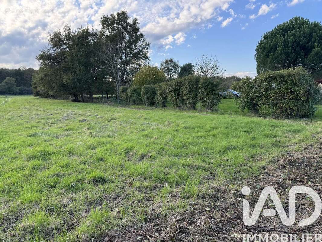 Photo 2 - Terrain à LANGEAIS