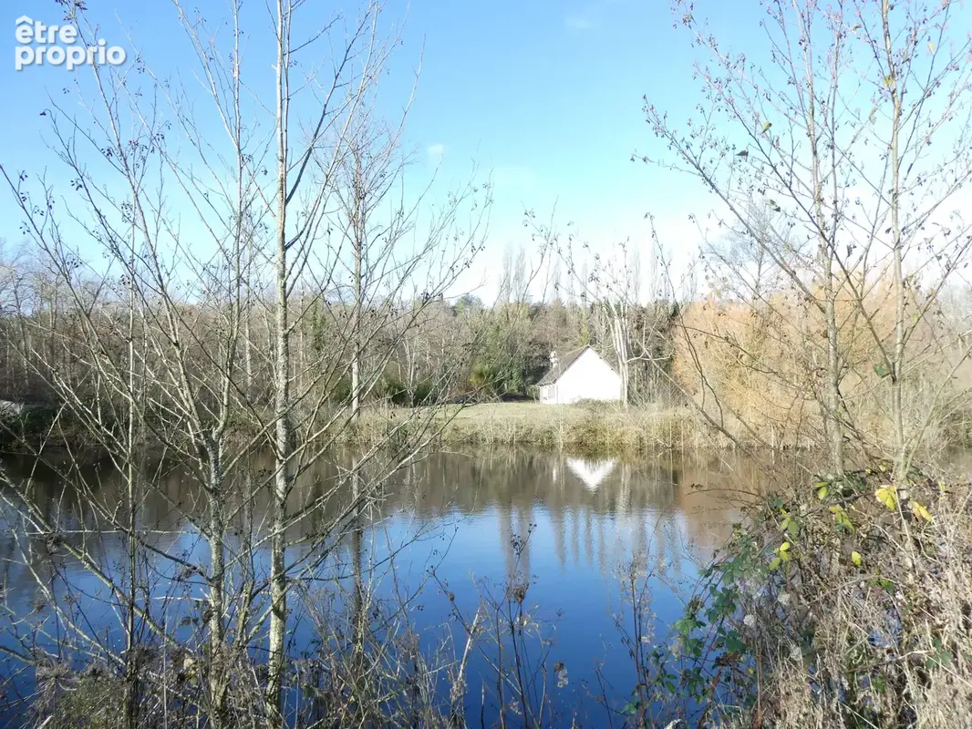 Maison sur propriété de 2ha avec étangs - photo 13
