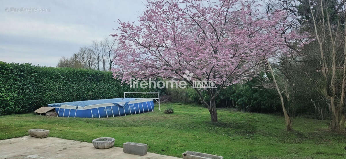 Maison à VILLEDIEU-SUR-INDRE