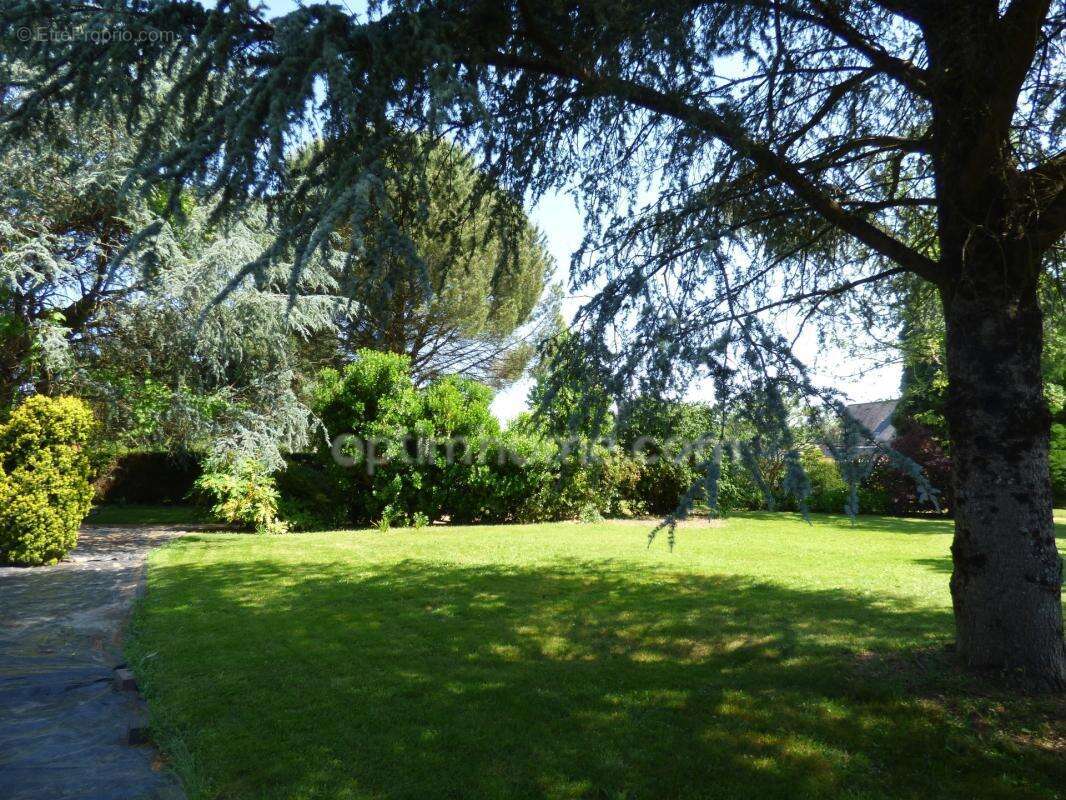 Maison 4 chambres, sous-sol et magnifique jardin - photo 14