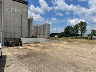 Commerce à CARBONNE