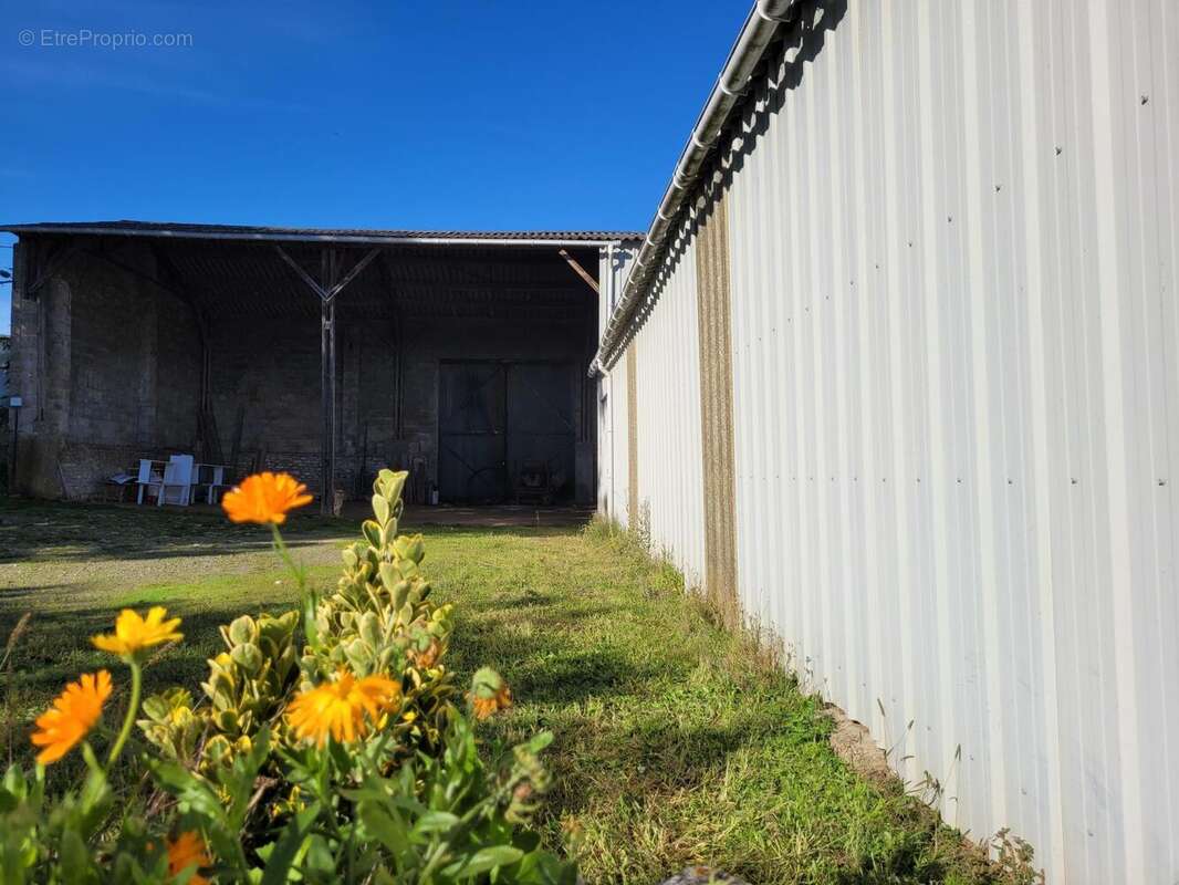 Photo 3 - Terrain à VOUILLE