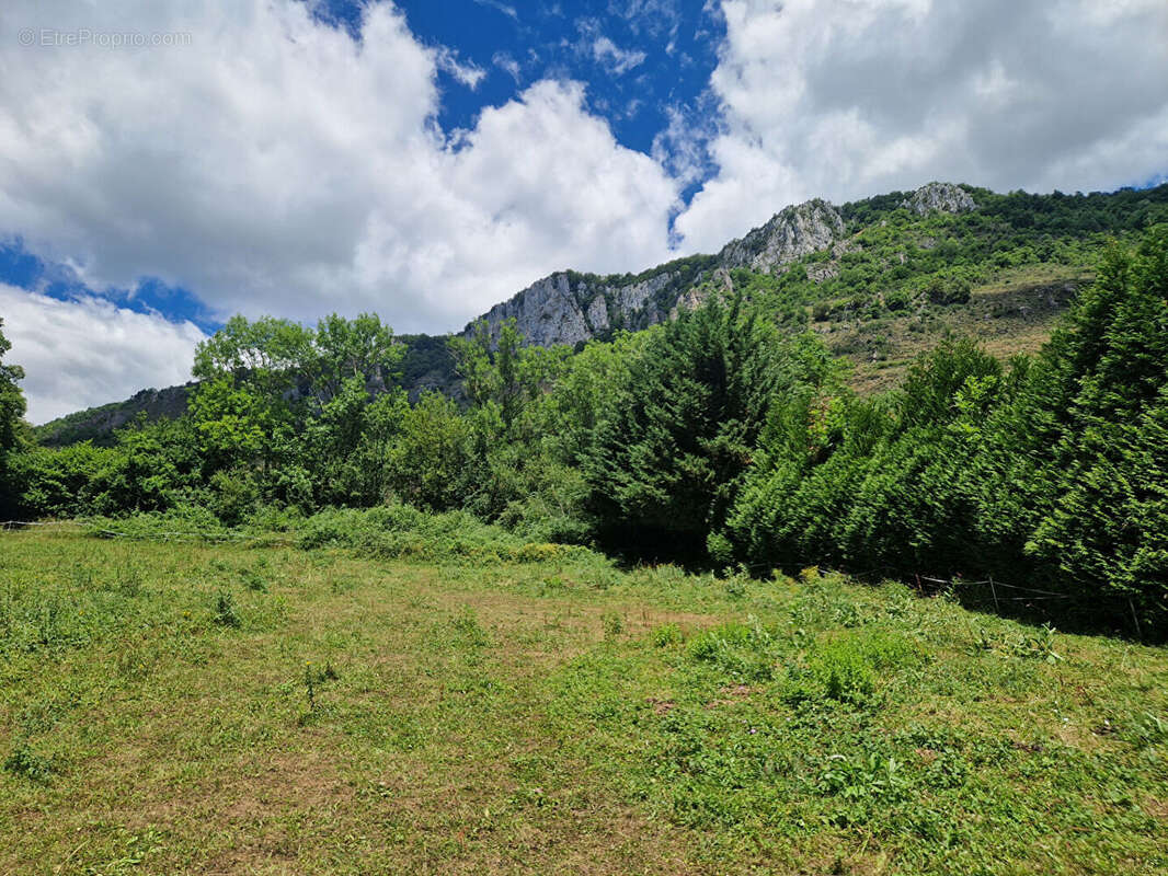 Terrain constructible d'environ 1500 m2 - photo 2