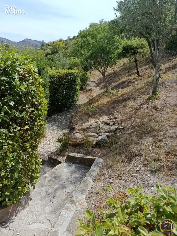 Terrain 2 038 m² à vendre à Cascastel-Des-Corbieres (11360) - photo 7