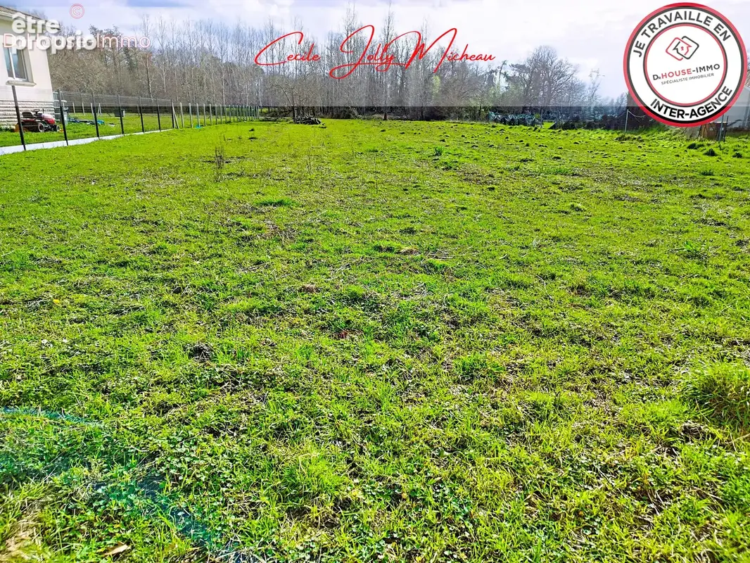 Terrain 2 389 m² à vendre à Braud-Et-Saint-Louis (33820) - photo 14