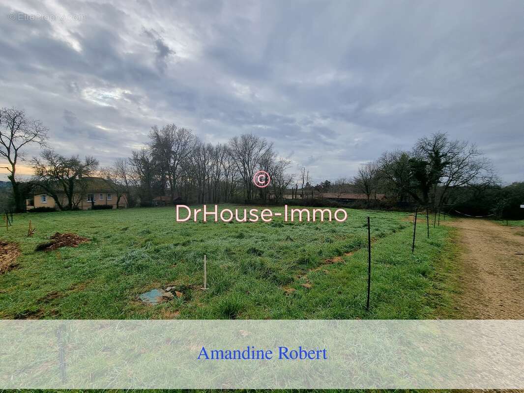 Terrain à SAINTE-ALVERE