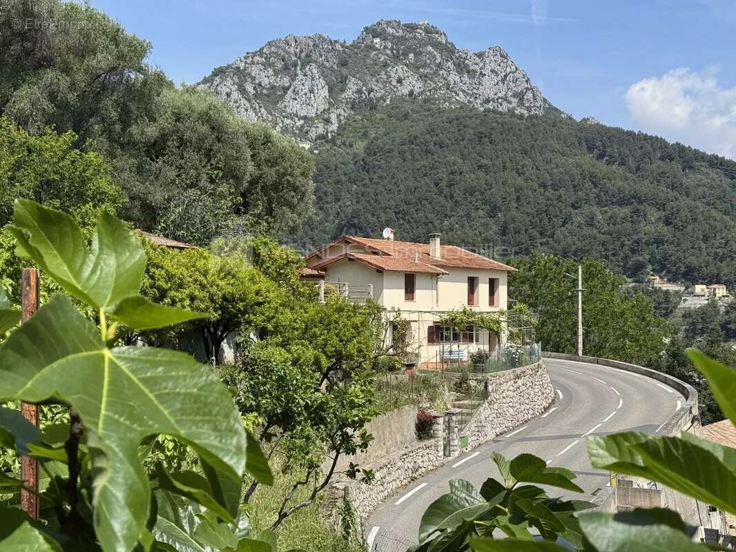 Maison a renover entierement avec terrain proche menton - photo 2