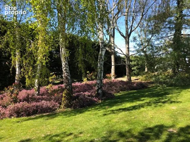 Propriété avec piscine à 2 pas de la Loire sur un parc arboré de 8900 m² à Germigny Des Prés - photo 13