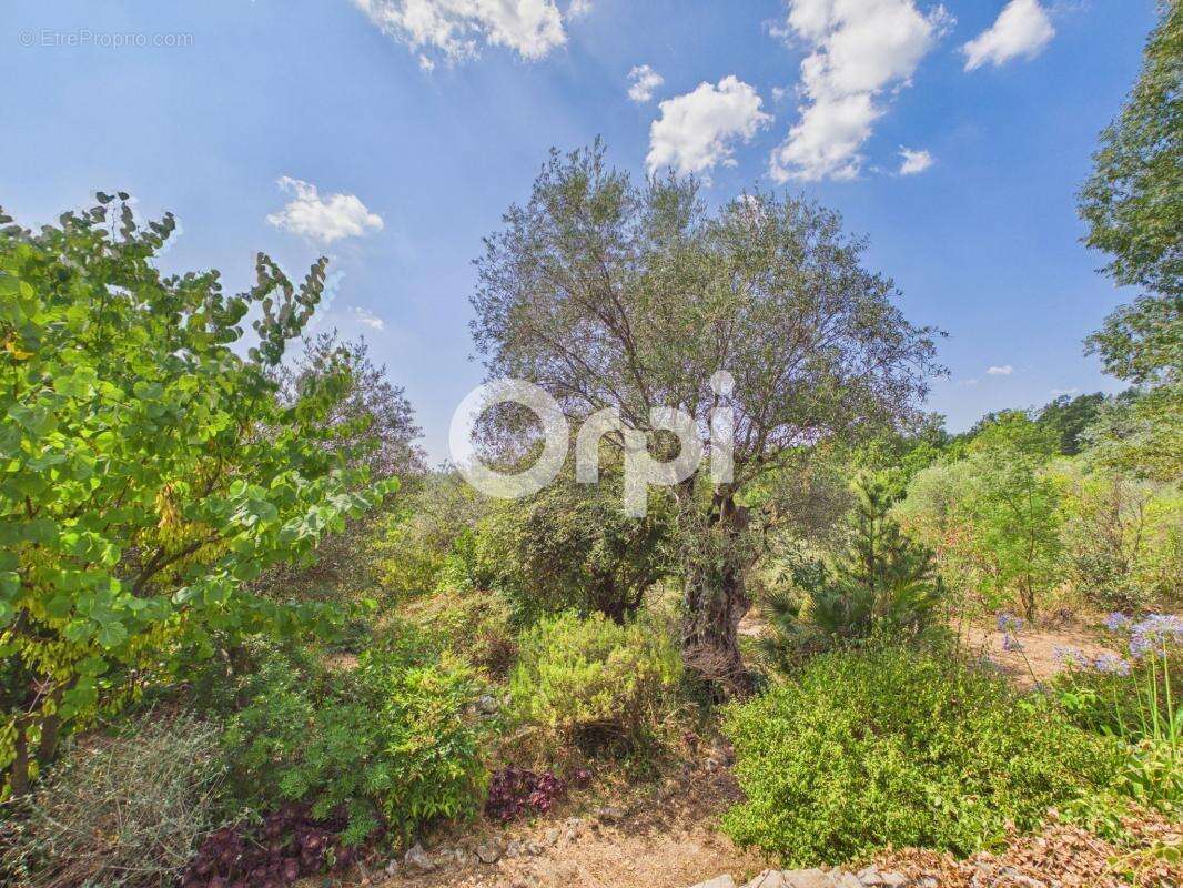 Bastide/mas en pierres authentique renové - calme absolu - terrain / oliviers - photo 14