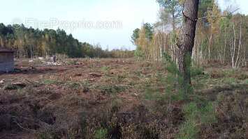 Terrain constructible ZA la Pécardière - photo 2