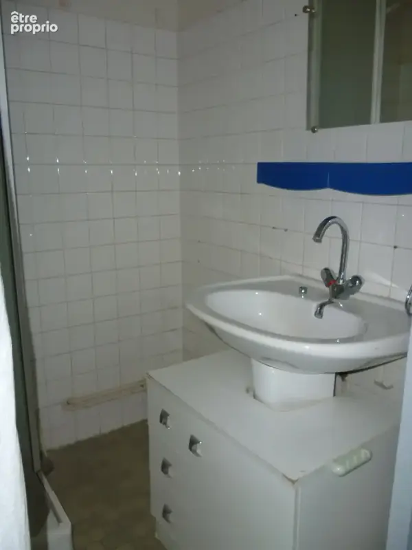 Verdun Ciel, Verdun sur le Doubs centre ville, 2 Appartements locatifs + grenier - photo 17