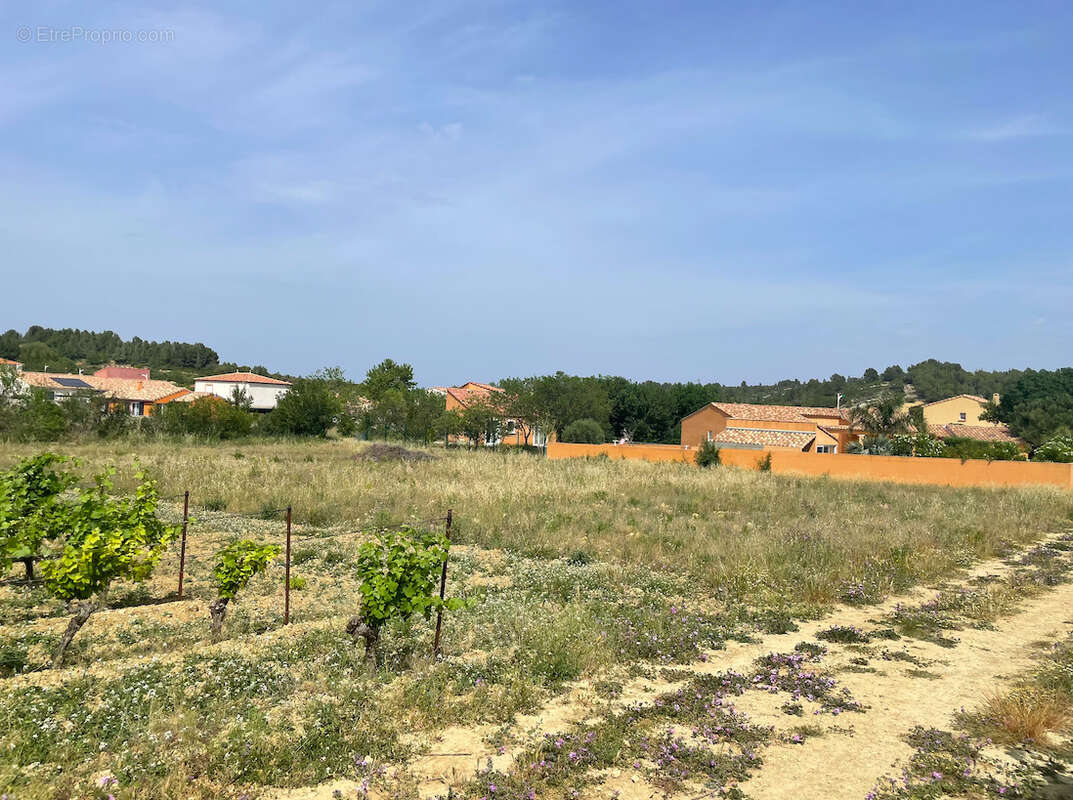 Terrain à PORTEL-DES-CORBIERES