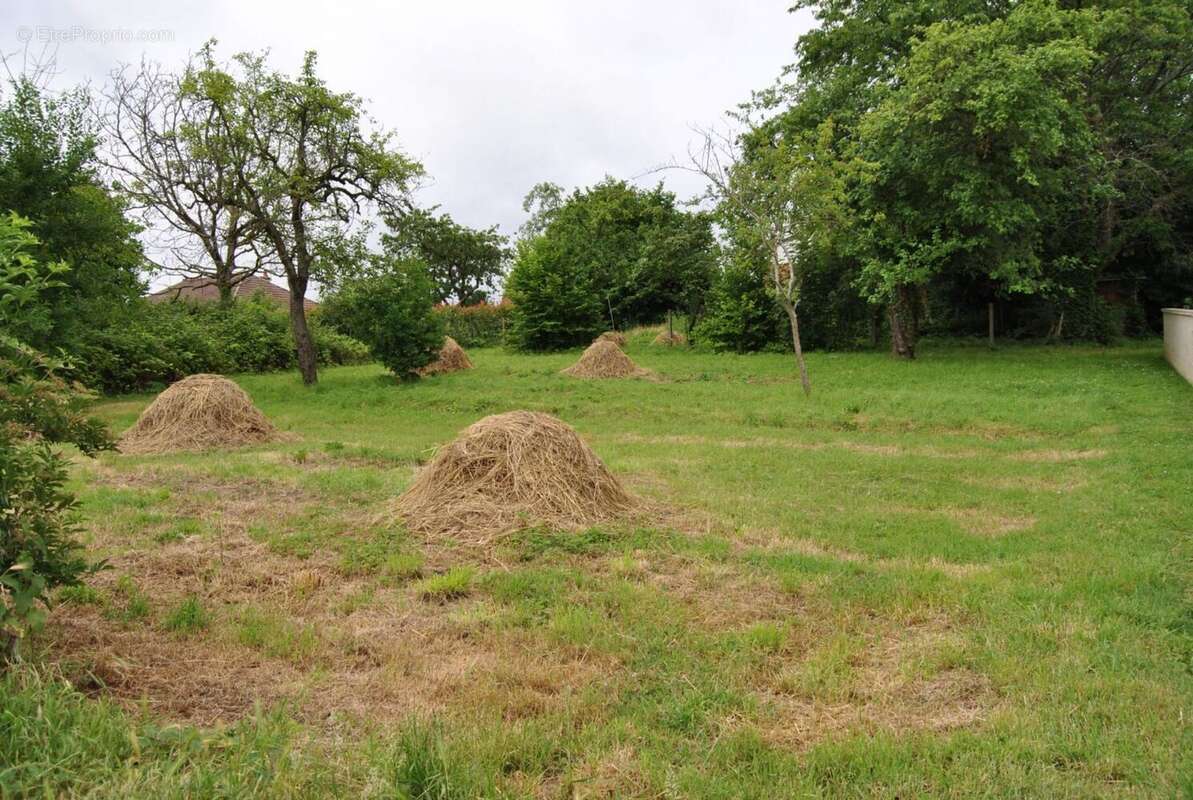 Terrain à RIBECOURT-DRESLINCOURT