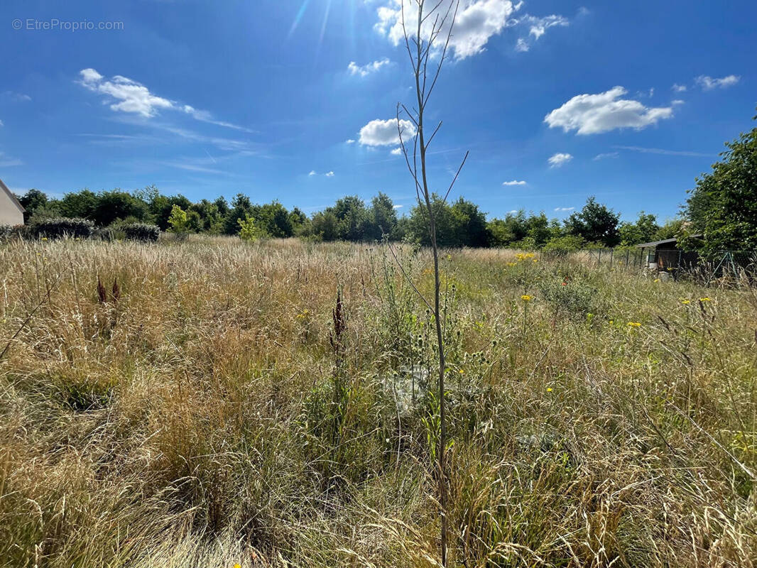 Terrain à NOGENT-LE-ROI