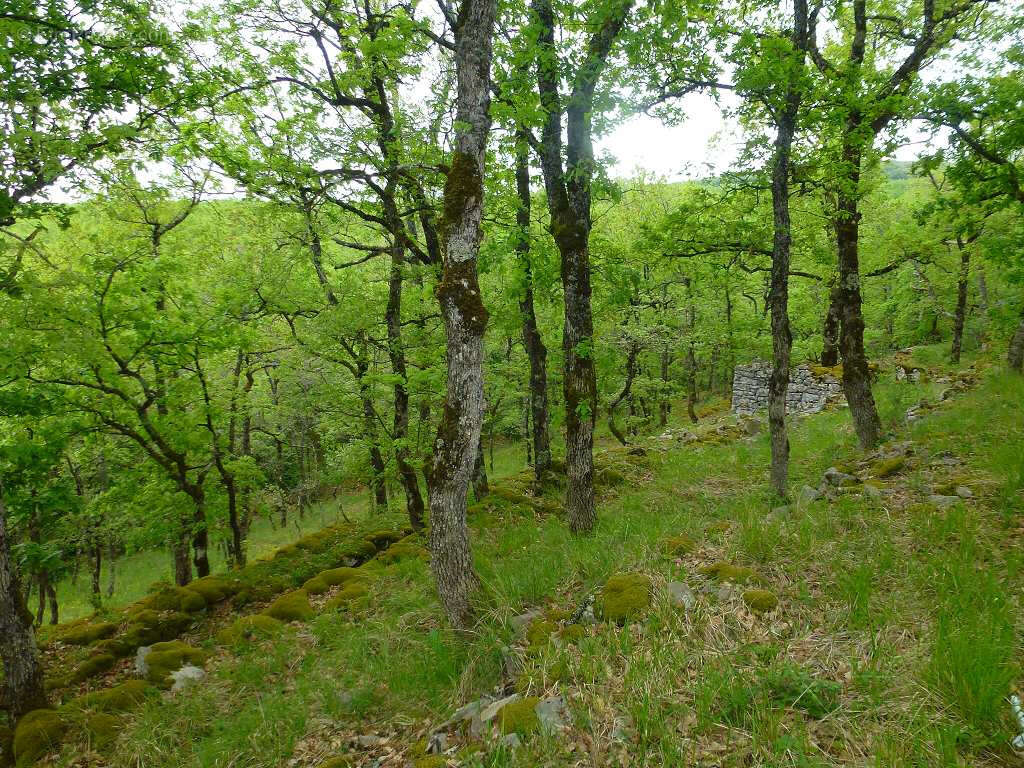 Maison à SAINT-ROME-DE-CERNON