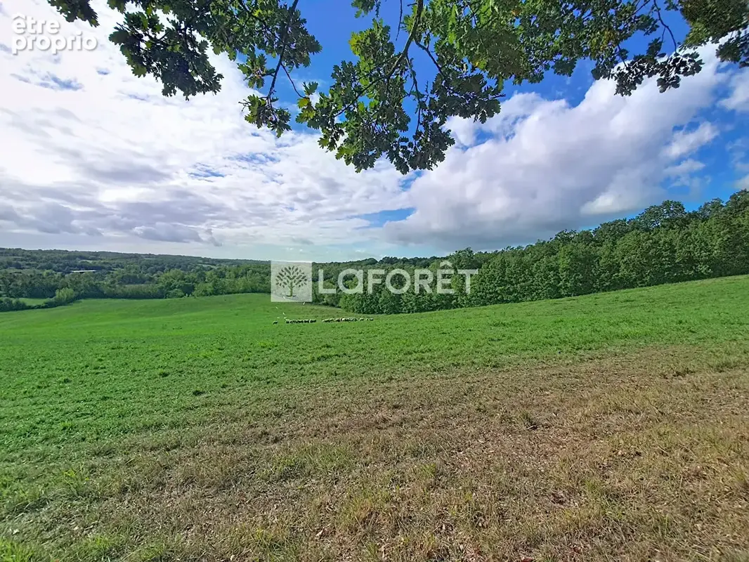Propriété de 116 hectares !!!  20 minutes Est de Montauban - photo 8
