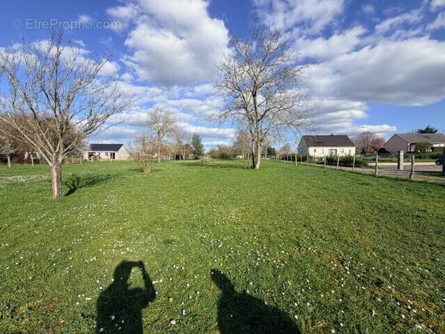 Terrain à LA CHARITE-SUR-LOIRE
