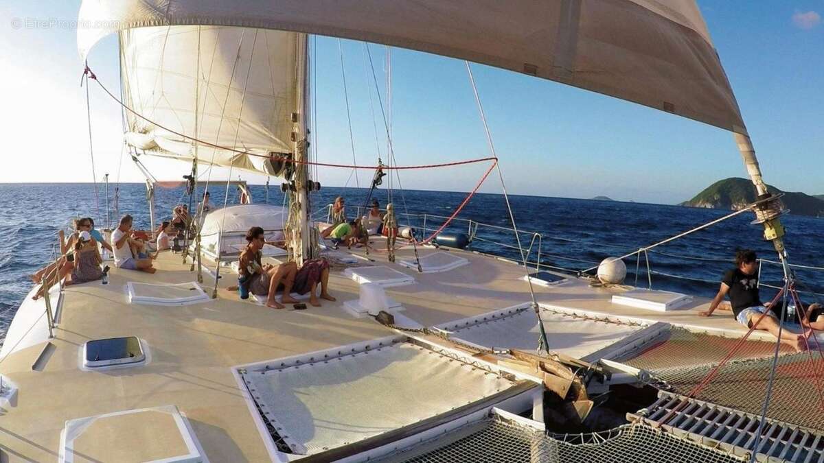 Commerce à DESHAIES