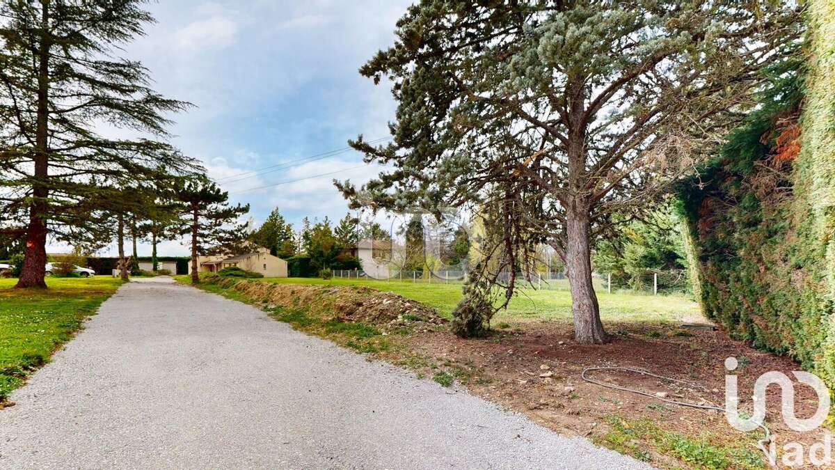 Photo 6 - Maison à MURET