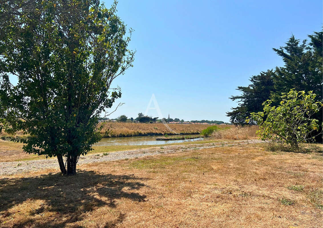 Vue exceptionnelle pour cette longère à Bouin - photo 11