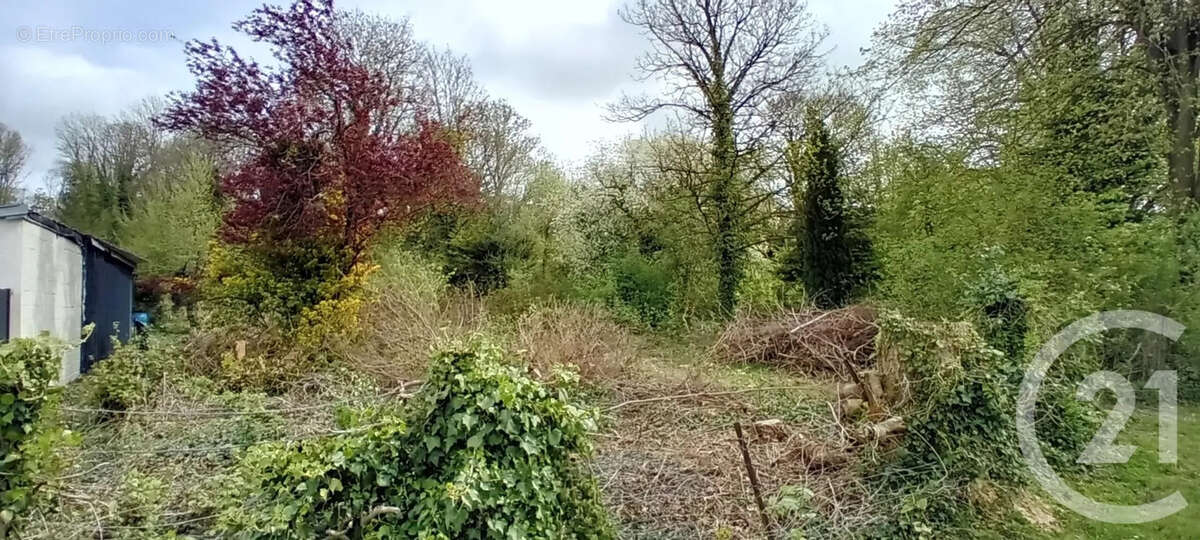 Terrain à PERONNE