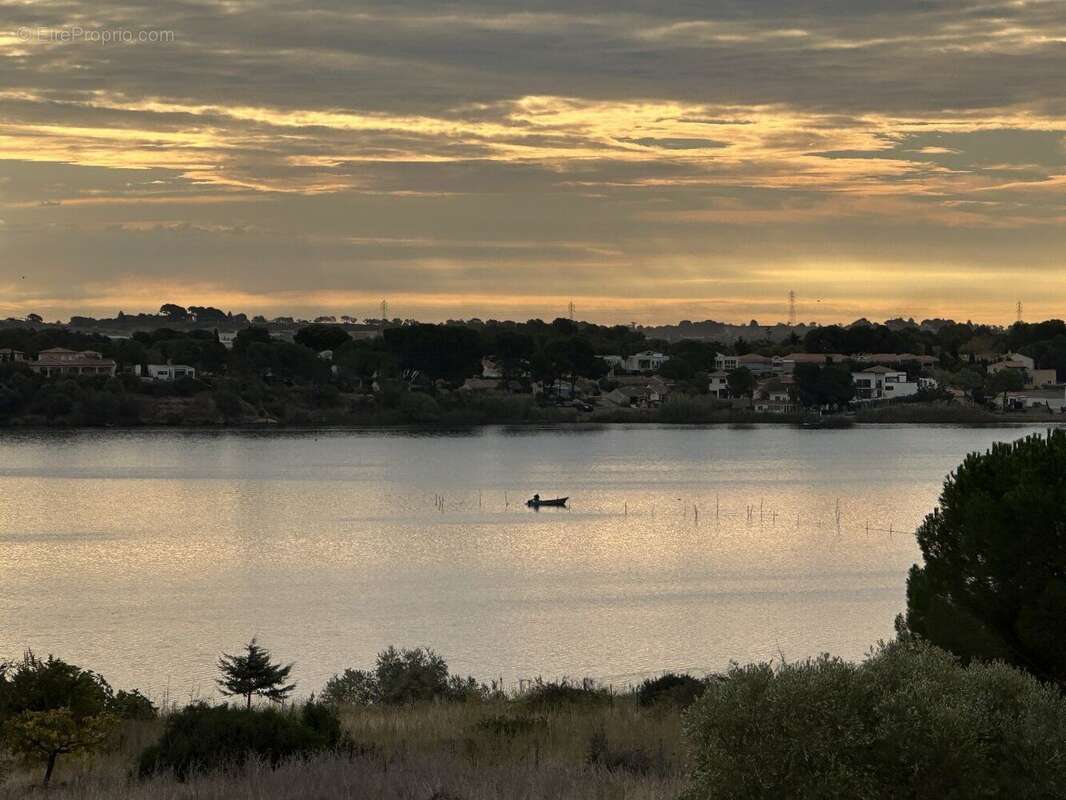 Photo 7 - Maison à MEZE