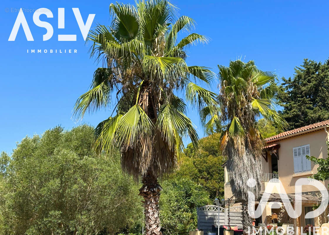 Photo 2 - Maison à SANARY-SUR-MER