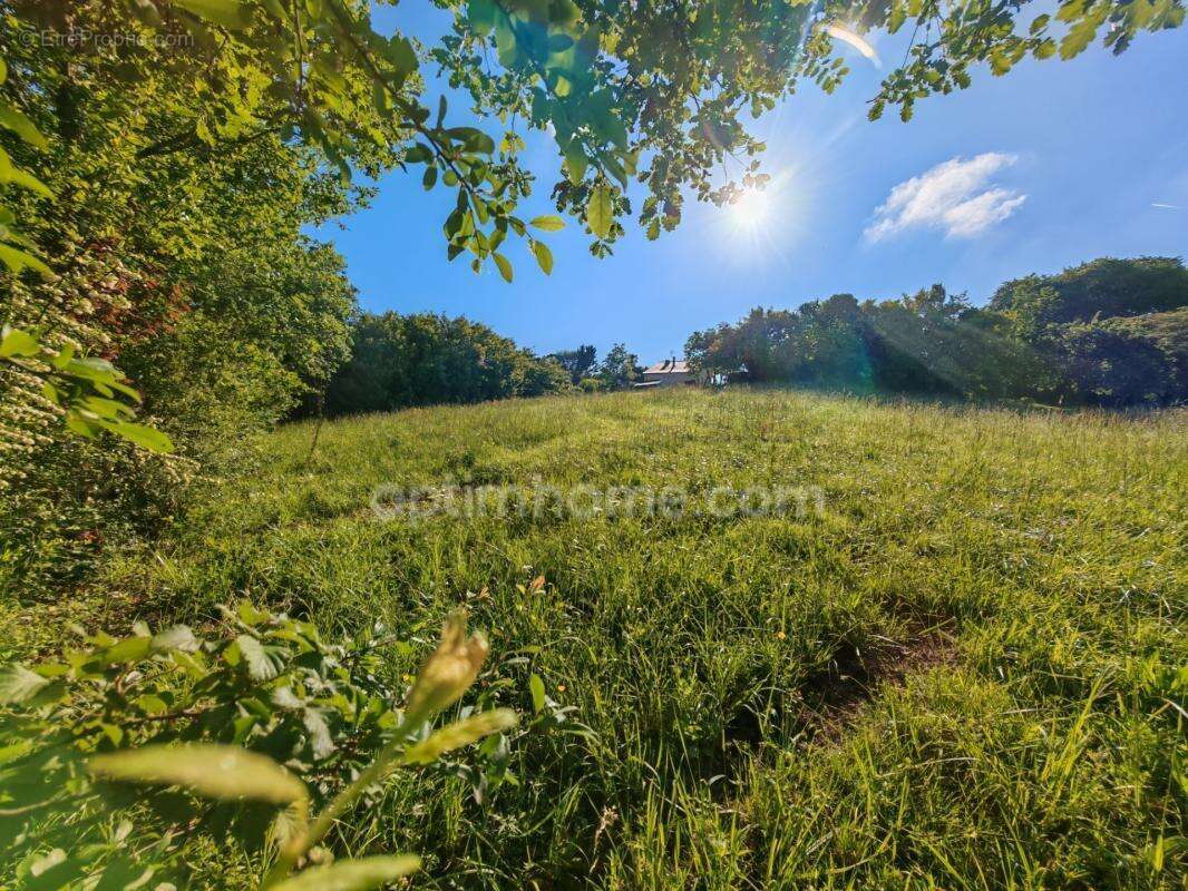 BAISSE DE PRIX !! Terrain constructible de 1 650m² situé à EAUZE (32) - photo 2