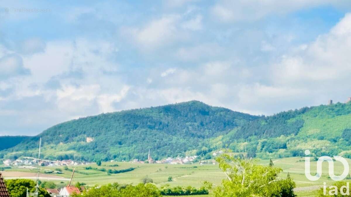 Photo 3 - Maison à EGUISHEIM