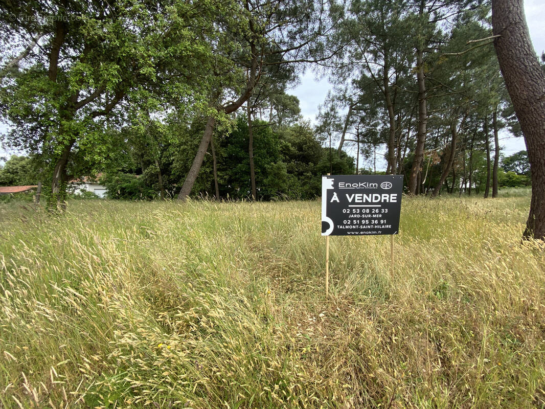Terrain à JARD-SUR-MER