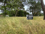 Terrain à JARD-SUR-MER