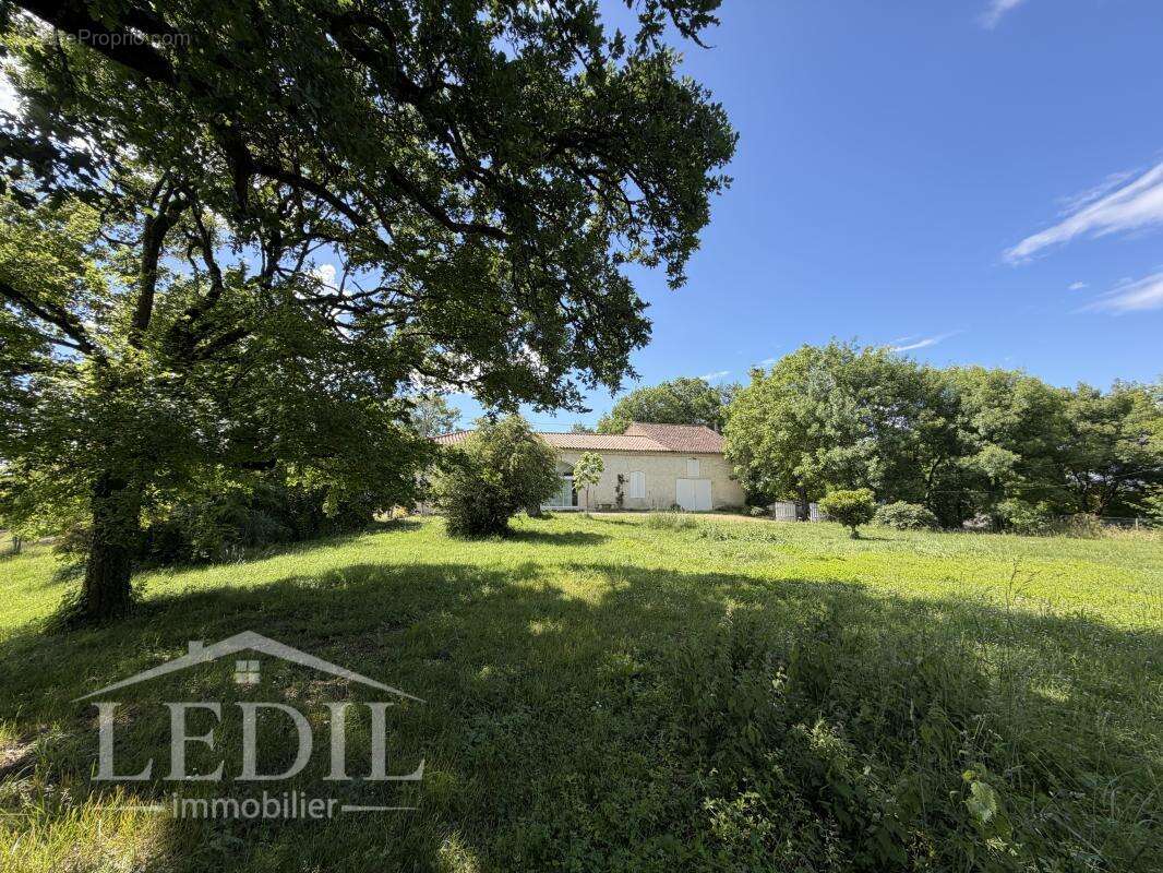 Maison vue Pyrénées avec 5 hectares de terrain - photo 2