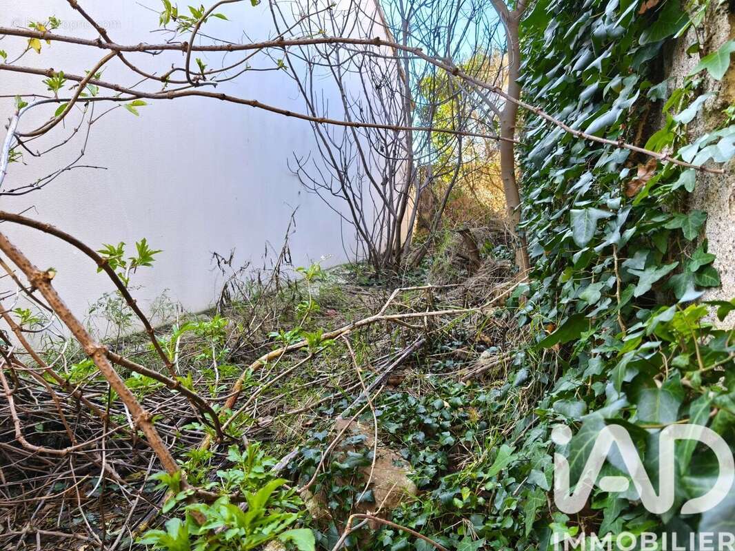 Photo 6 - Maison à SALLES-D'AUDE