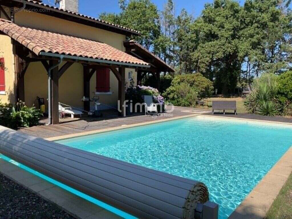 Maison landaise avec piscine, dépendance et terrain - photo 11