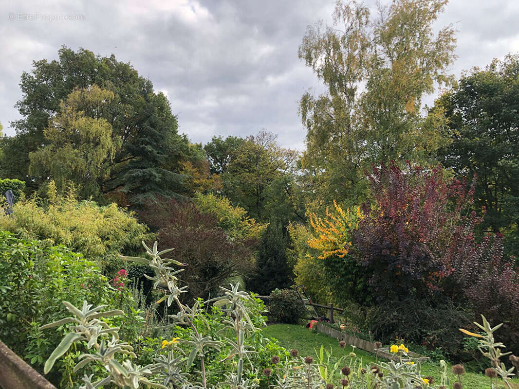 Maison à SAINT-CYR-EN-ARTHIES
