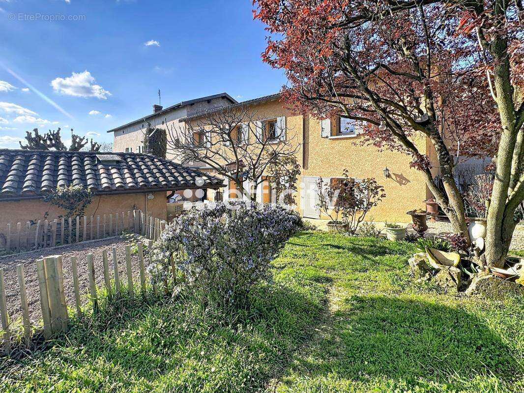 Maison à NEUVILLE-SUR-SAONE