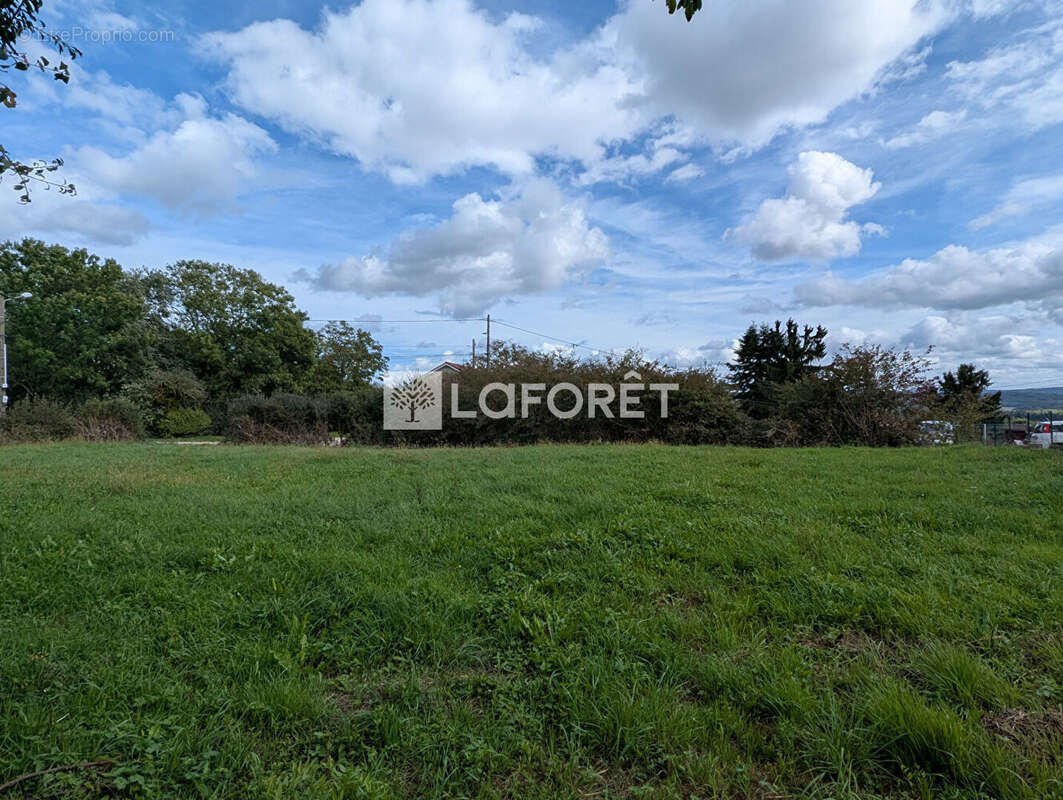 Terrain à SAINT-VIT