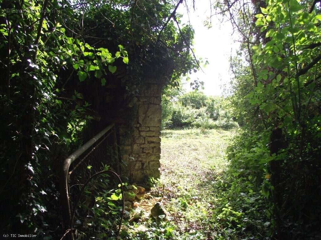 Maison de Caractère avec 5 Chambres Avec Terrain, 6 Minutes d'Aunac-Sur-Charente - photo 40