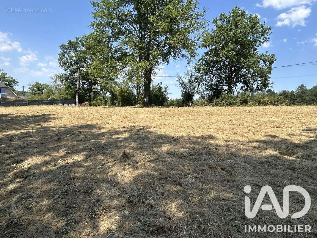 Terrain 2529 m² à Buziet  - photo 3