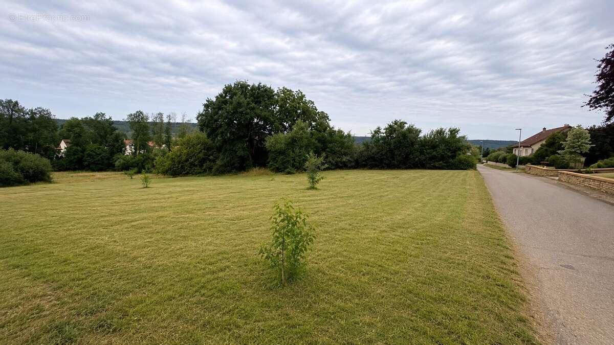 Terrain 918 m² à Corny-Sur-Moselle  - photo 3