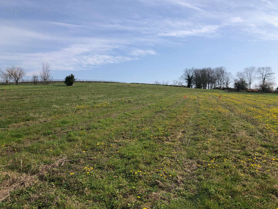 Terrain à SAINT-SAVIN